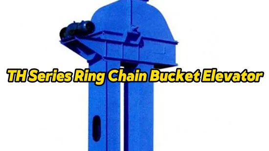 Th315 Ne Series High Efficiency Plate Chain Bucket Elevator/Feeder/Conveyor for Coal/Ore Stone 