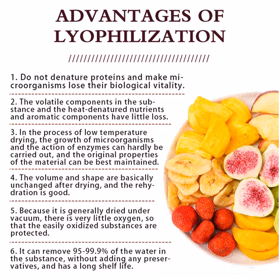 Fruit and Vegetable Lyophilizer/Freeze Dryer Equipment Freeze Drying Machine