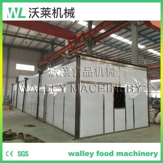 Industrial Fruit and Vegetable Mango Fungi Ginger Drying Dryer Machine 